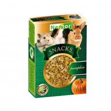 Snacks for rodents and rabbits - Pumpkin